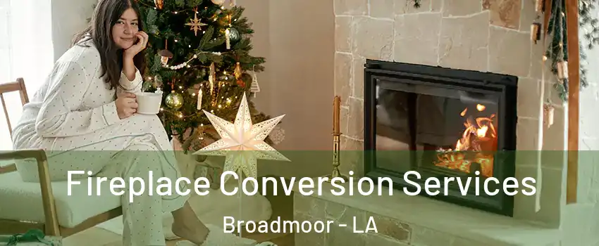 Fireplace Conversion Services Broadmoor - LA