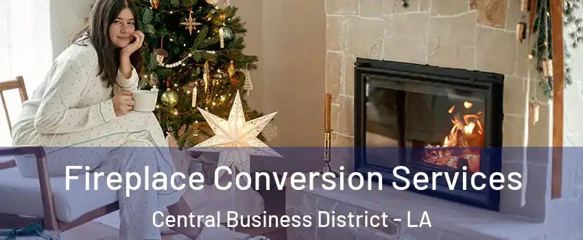 Fireplace Conversion Services Central Business District - LA