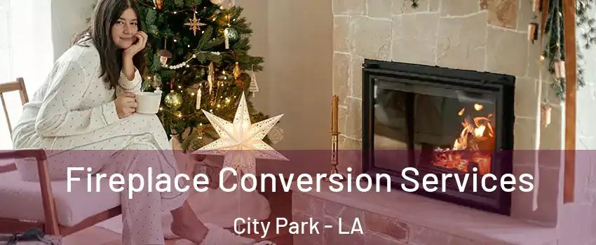 Fireplace Conversion Services City Park - LA