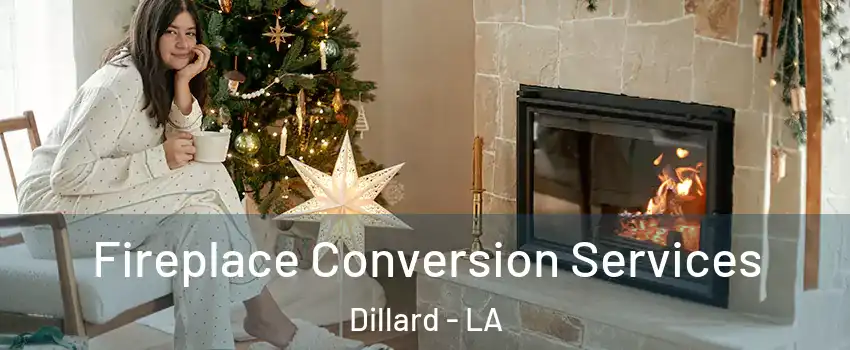 Fireplace Conversion Services Dillard - LA