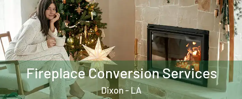 Fireplace Conversion Services Dixon - LA