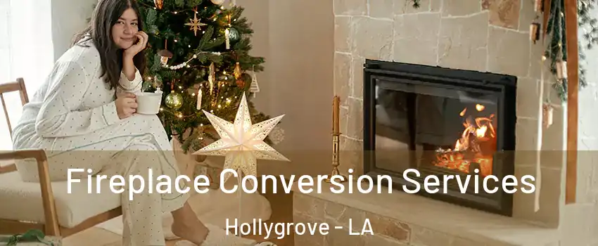 Fireplace Conversion Services Hollygrove - LA