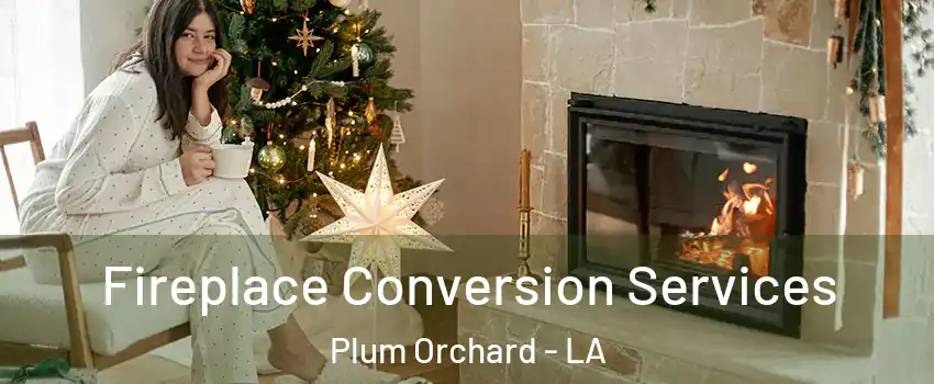 Fireplace Conversion Services Plum Orchard - LA