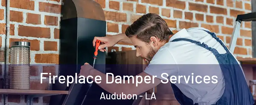 Fireplace Damper Services Audubon - LA