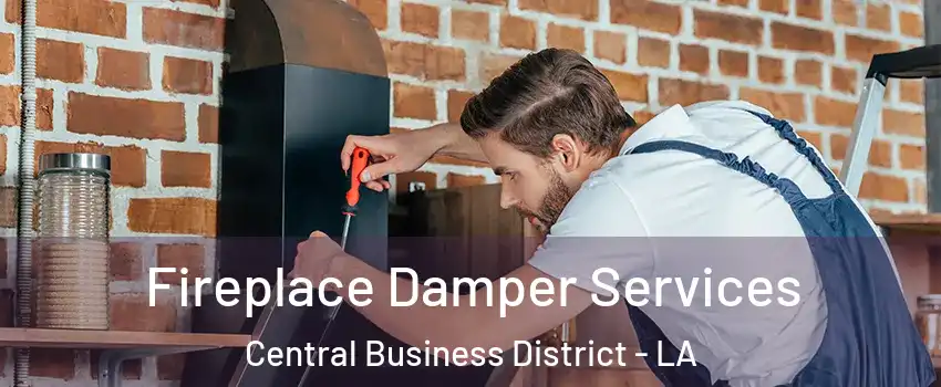 Fireplace Damper Services Central Business District - LA