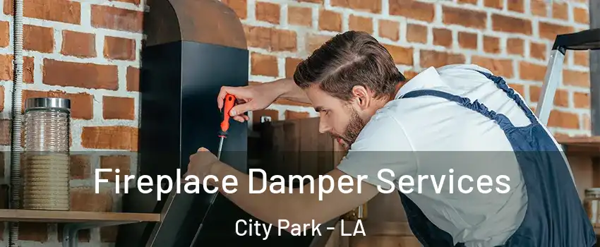 Fireplace Damper Services City Park - LA