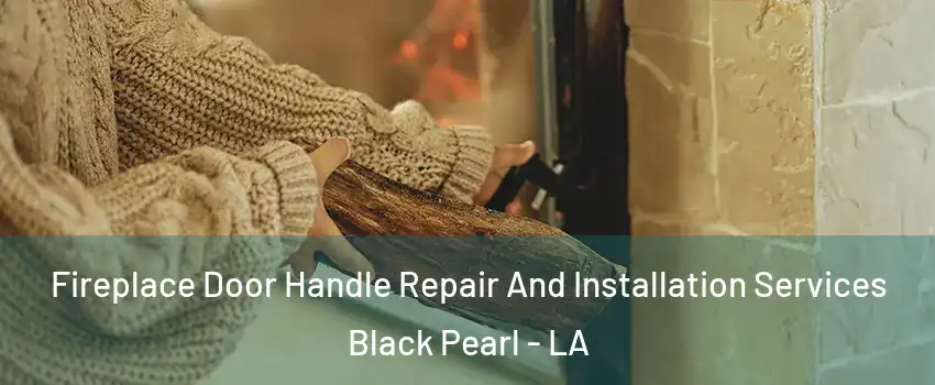 Fireplace Door Handle Repair And Installation Services Black Pearl - LA