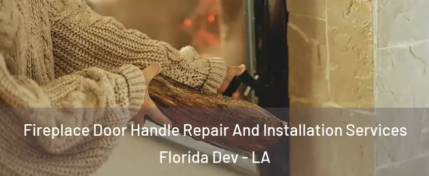 Fireplace Door Handle Repair And Installation Services Florida Dev - LA