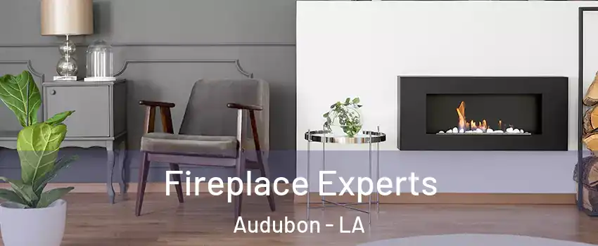 Fireplace Experts Audubon - LA