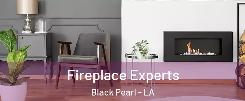 Fireplace Experts Black Pearl - LA