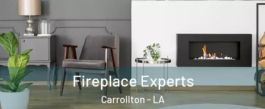 Fireplace Experts Carrollton - LA