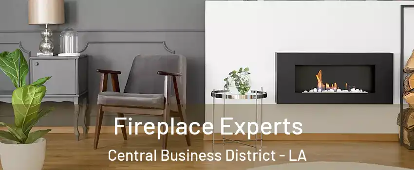 Fireplace Experts Central Business District - LA