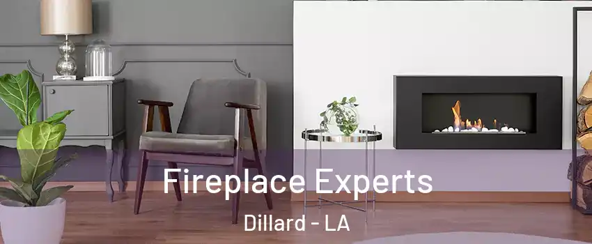 Fireplace Experts Dillard - LA