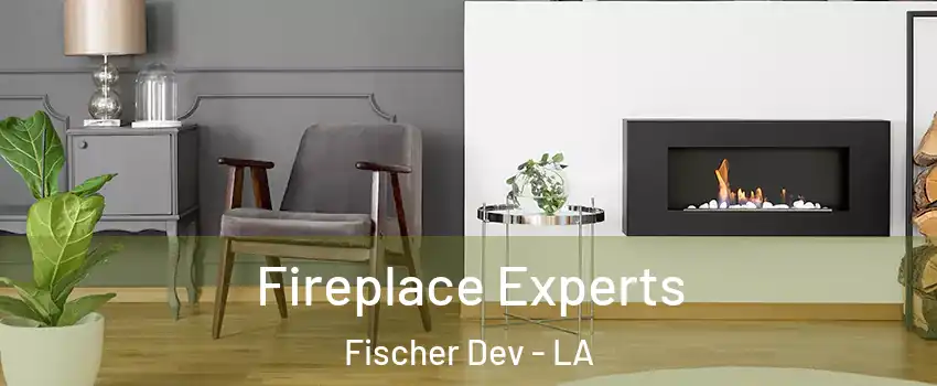 Fireplace Experts Fischer Dev - LA