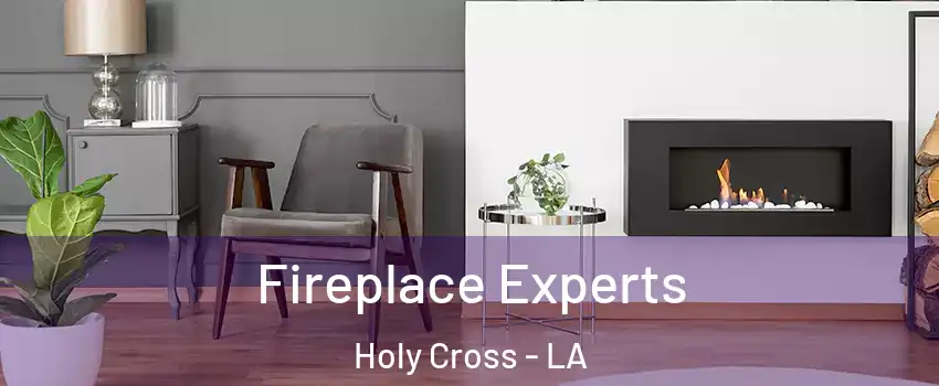 Fireplace Experts Holy Cross - LA