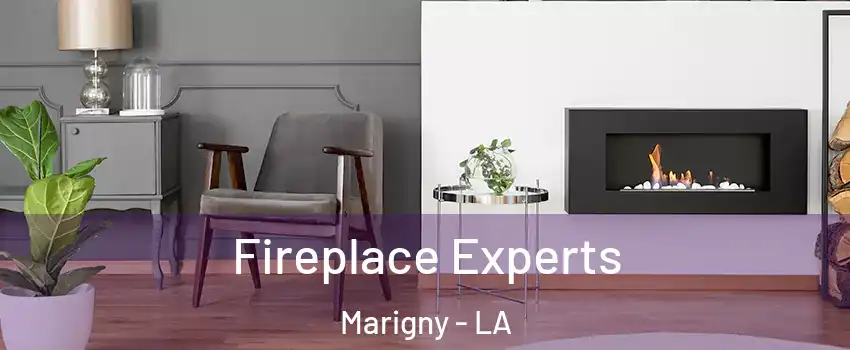 Fireplace Experts Marigny - LA