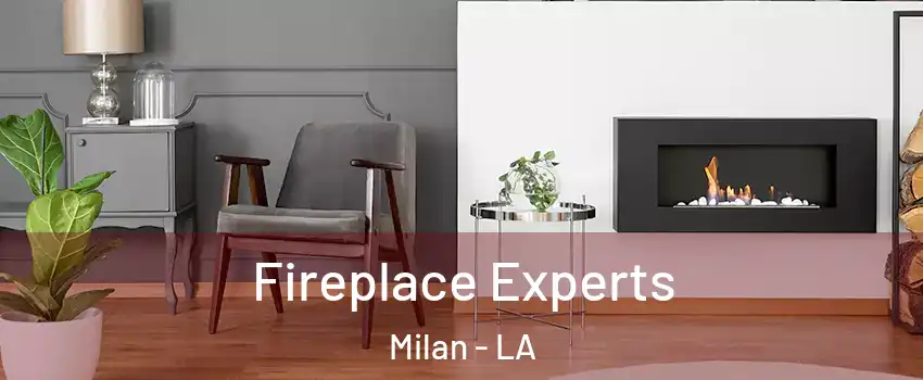 Fireplace Experts Milan - LA