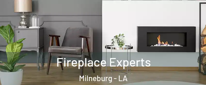 Fireplace Experts Milneburg - LA