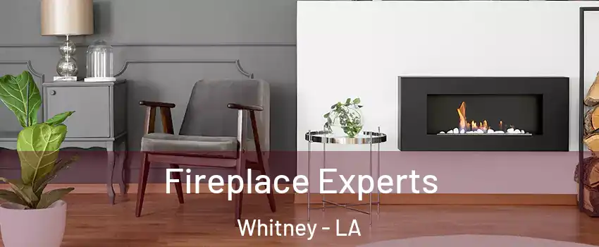 Fireplace Experts Whitney - LA