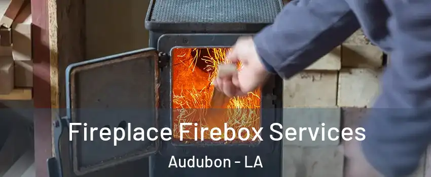 Fireplace Firebox Services Audubon - LA