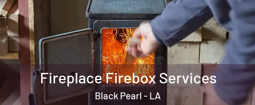 Fireplace Firebox Services Black Pearl - LA