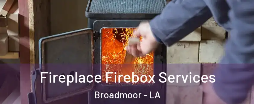 Fireplace Firebox Services Broadmoor - LA