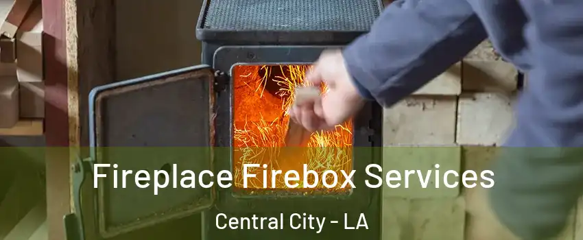 Fireplace Firebox Services Central City - LA