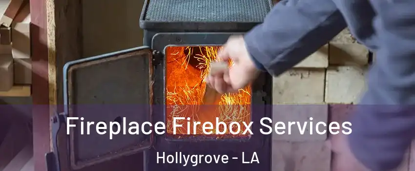 Fireplace Firebox Services Hollygrove - LA