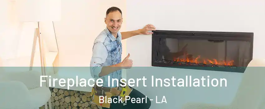 Fireplace Insert Installation Black Pearl - LA