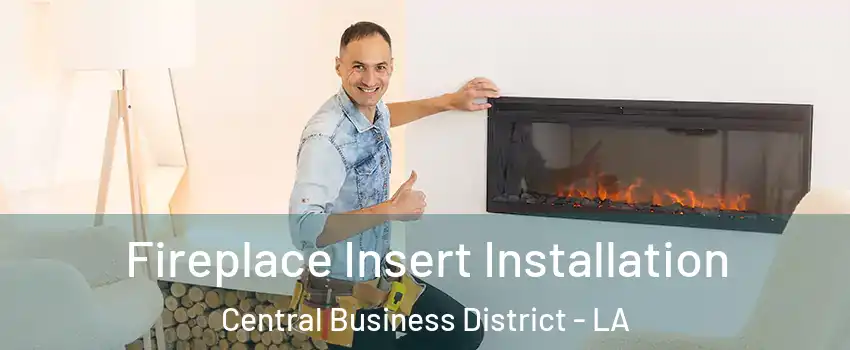 Fireplace Insert Installation Central Business District - LA