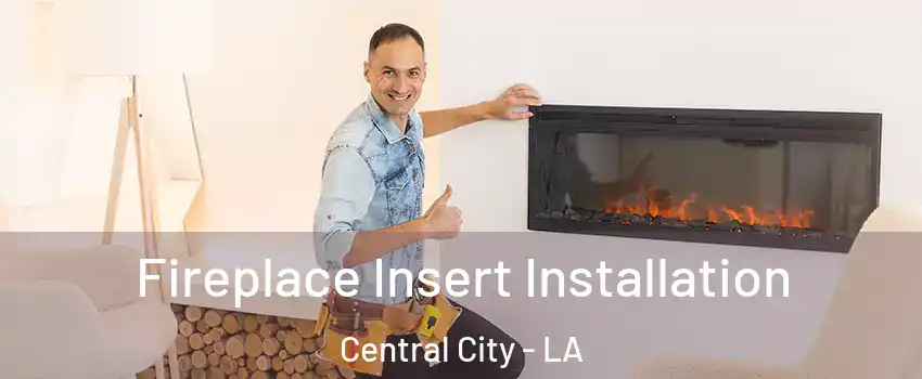 Fireplace Insert Installation Central City - LA