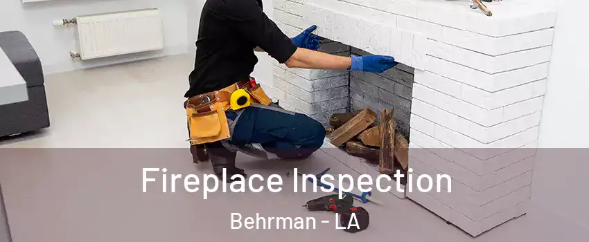 Fireplace Inspection Behrman - LA