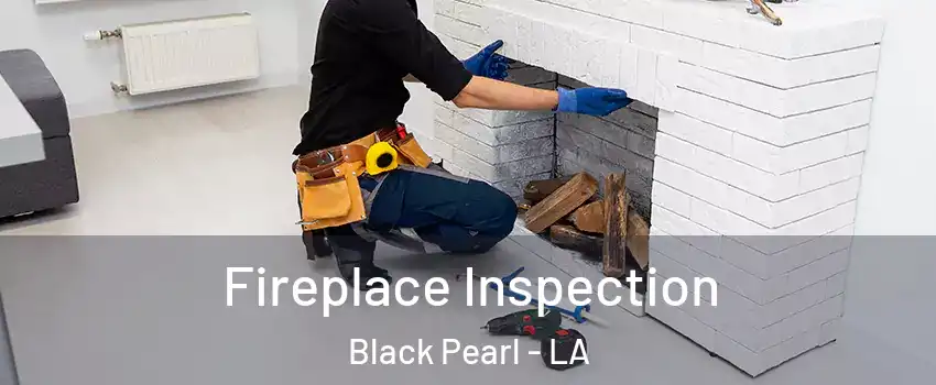 Fireplace Inspection Black Pearl - LA