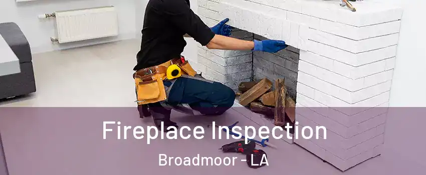 Fireplace Inspection Broadmoor - LA