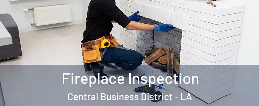 Fireplace Inspection Central Business District - LA