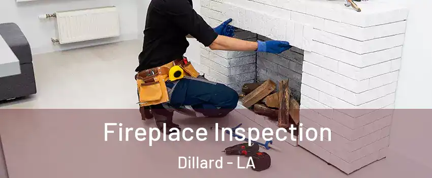 Fireplace Inspection Dillard - LA