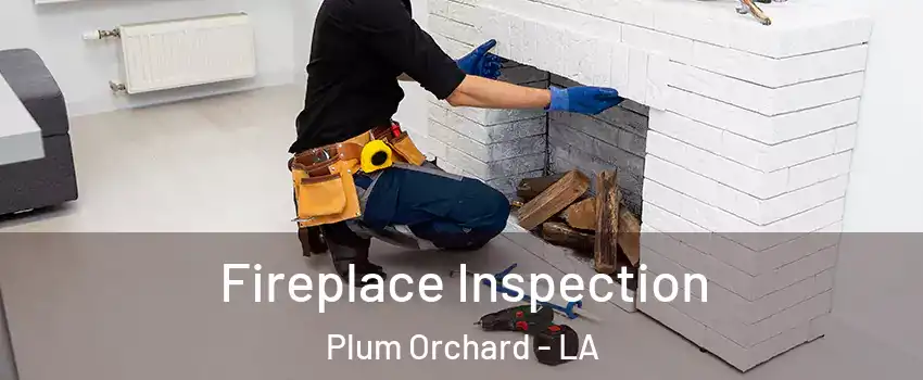 Fireplace Inspection Plum Orchard - LA