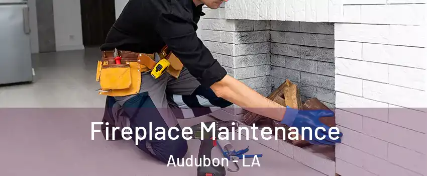 Fireplace Maintenance Audubon - LA