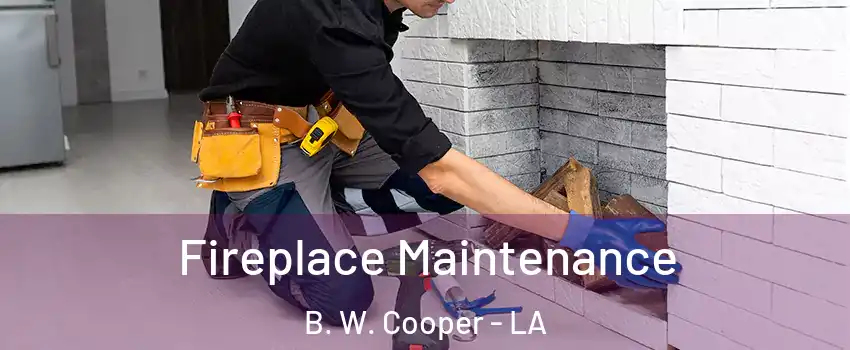 Fireplace Maintenance B. W. Cooper - LA