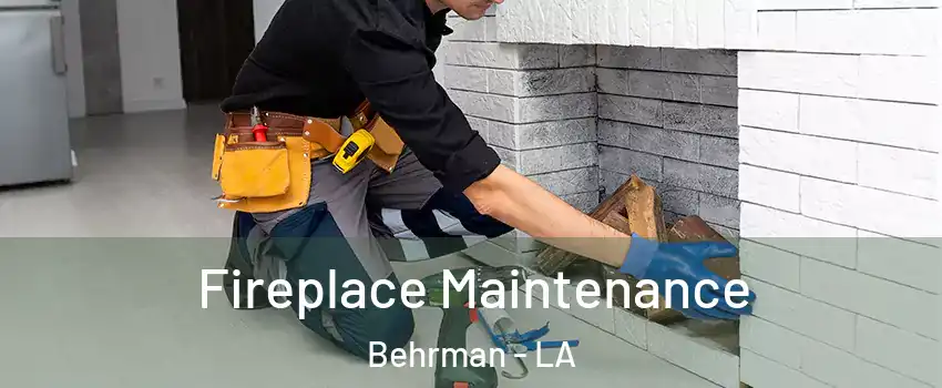 Fireplace Maintenance Behrman - LA