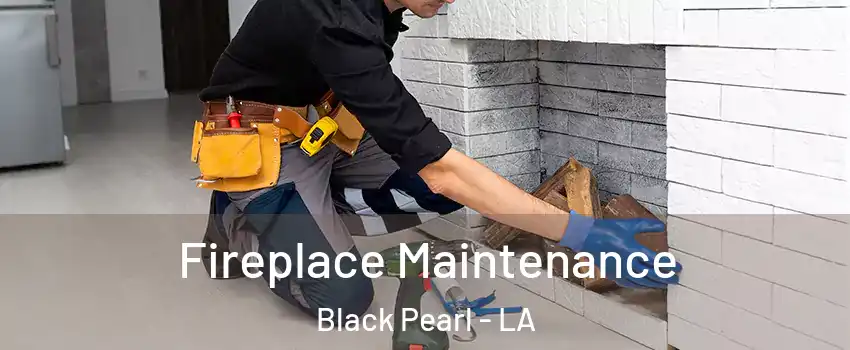 Fireplace Maintenance Black Pearl - LA