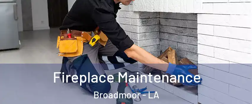 Fireplace Maintenance Broadmoor - LA