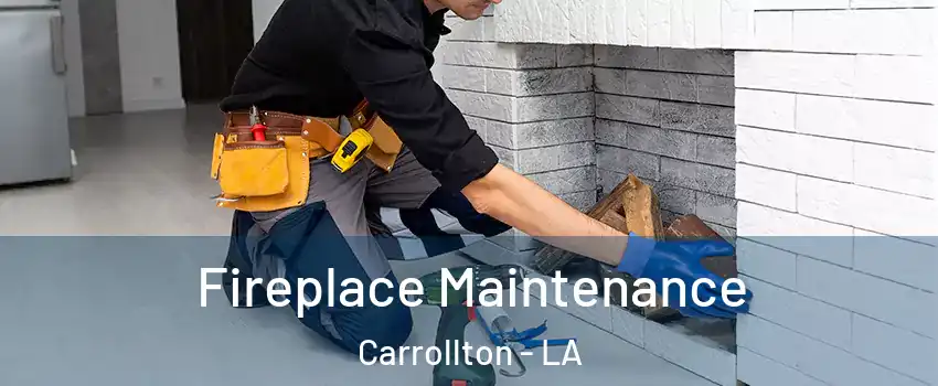 Fireplace Maintenance Carrollton - LA