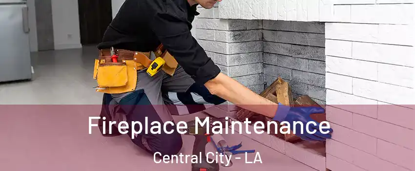 Fireplace Maintenance Central City - LA