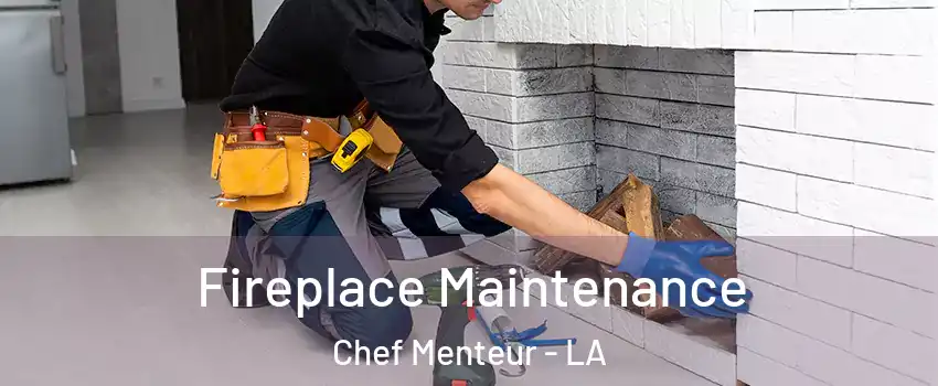 Fireplace Maintenance Chef Menteur - LA