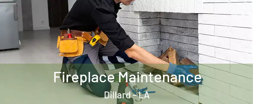 Fireplace Maintenance Dillard - LA