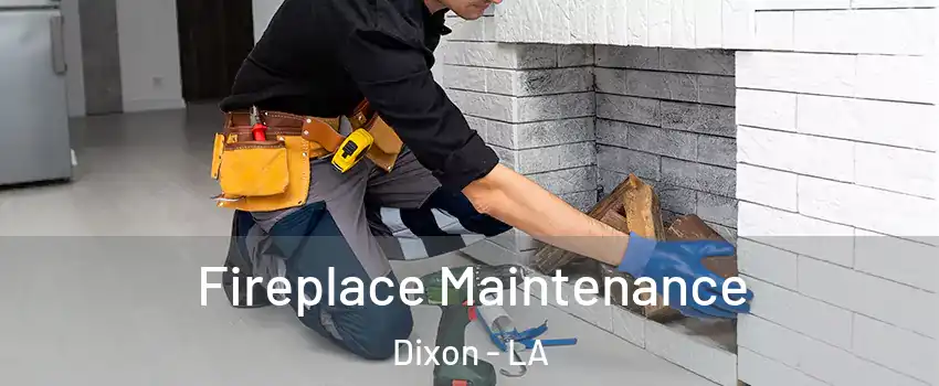 Fireplace Maintenance Dixon - LA