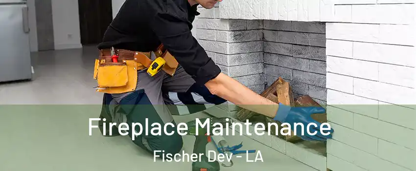 Fireplace Maintenance Fischer Dev - LA