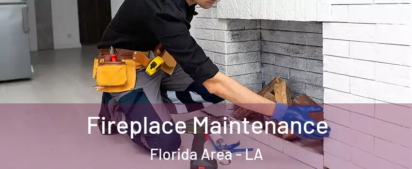 Fireplace Maintenance Florida Area - LA