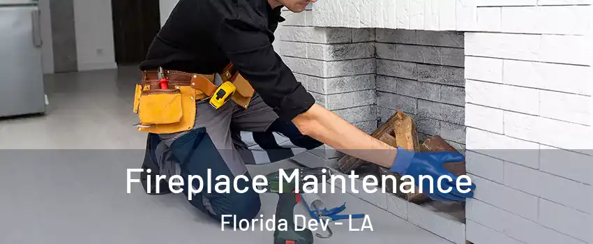 Fireplace Maintenance Florida Dev - LA